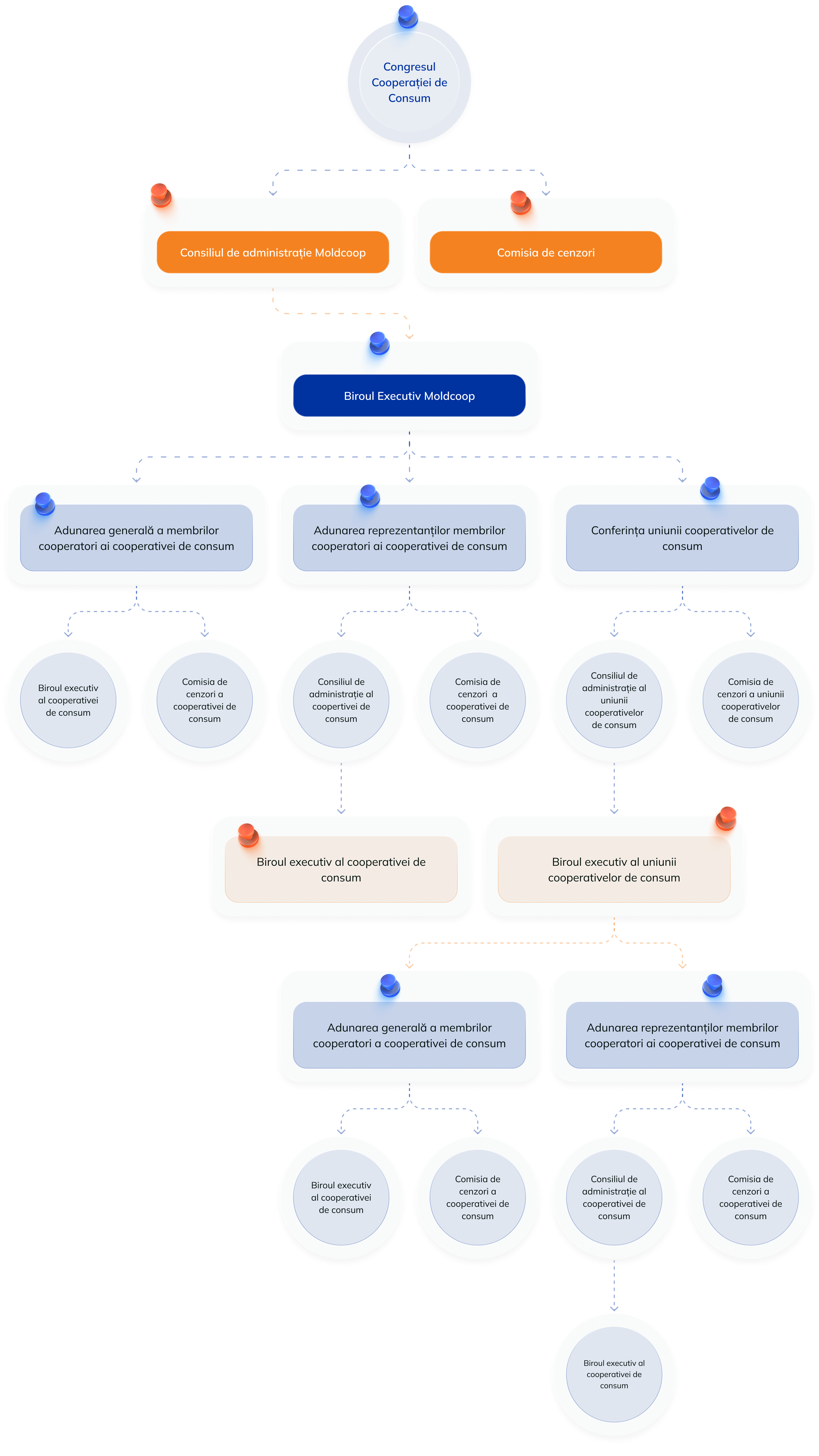 organisation chart